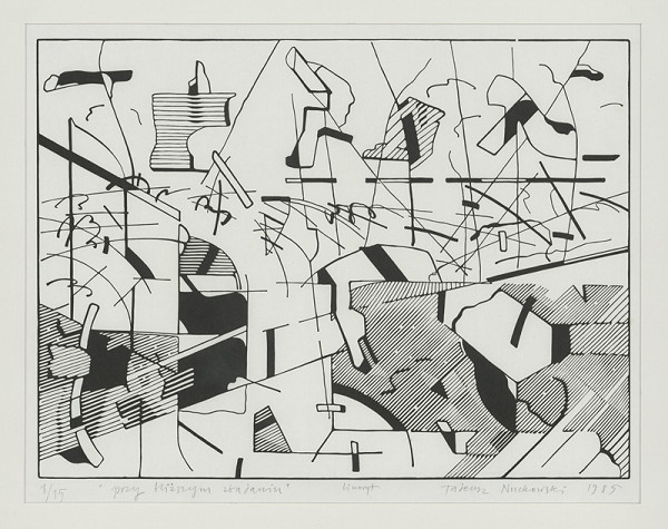 Tadeusz Nuckowski – Przy blizsym zbadaniu 