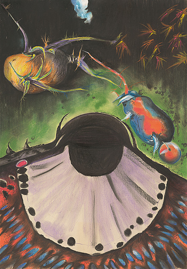 Emil Sedlák – Metamorfózy mojich pavúkov 