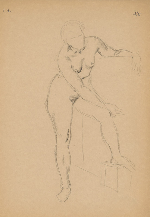 Emil Makovický – Ženský akt s nohou na schode 