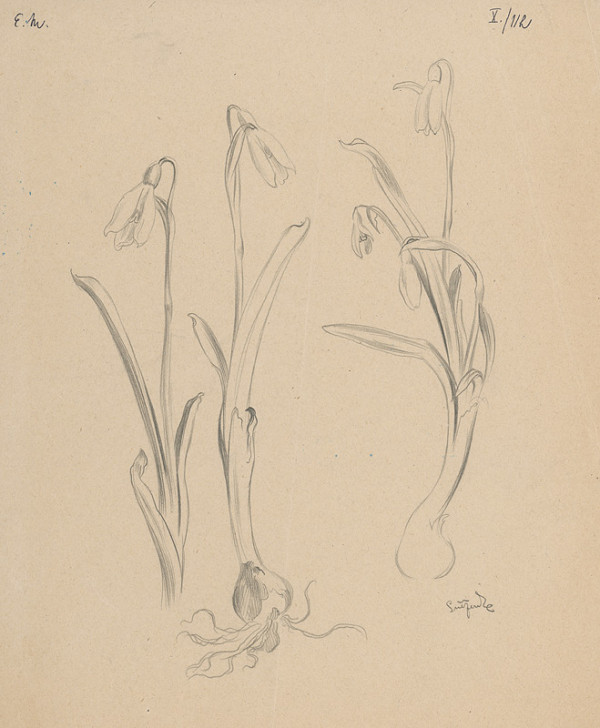 Emil Makovický – Snežienky 