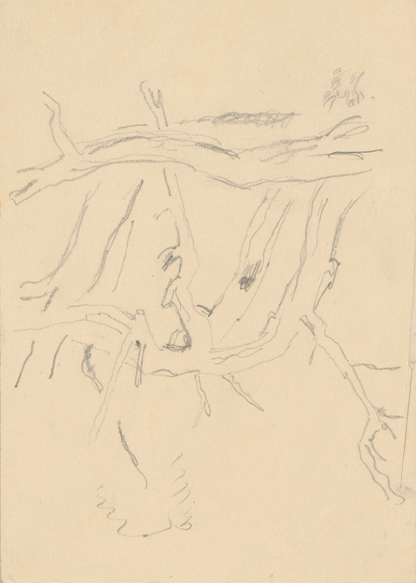 Emil Makovický – Štúdia konárov 