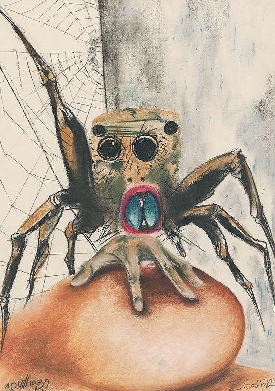 Emil Sedlák – Moje pavúky v sieti 