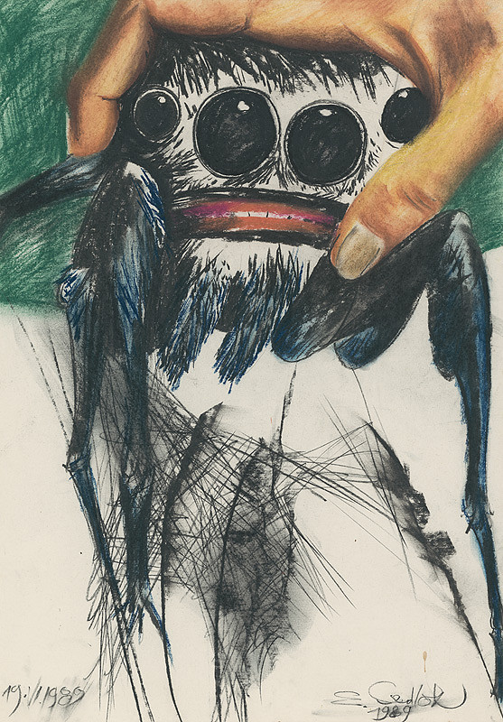 Emil Sedlák – Moje pavúky v ruke 