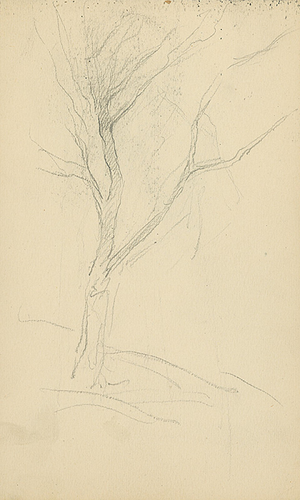 Andor Borúth – Skicár VI.