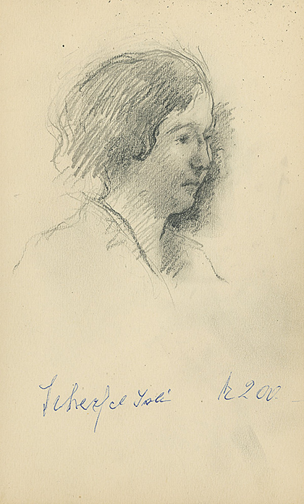 Andor Borúth – Skicár VI.