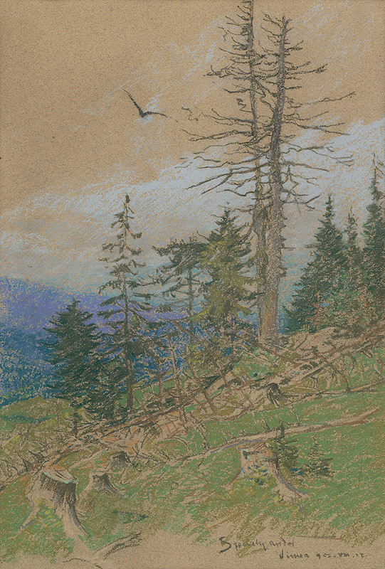 André Székély – Krajina od Vinného 