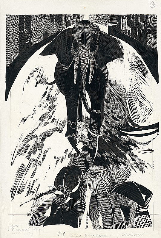 Jana Kiselová-Siteková – Biely kamienok 