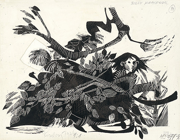 Jana Kiselová-Siteková – Biely kamienok 