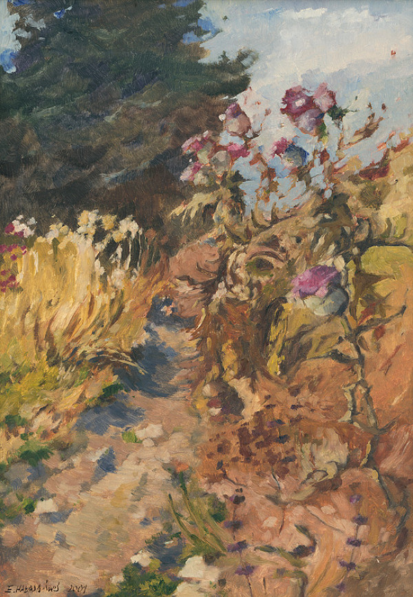 Elżbieta Hałasa – Bodliaky I. 