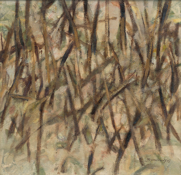 Vladimír Broniševský – Polom na Letanovskej píle 