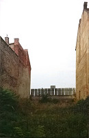 Olja Triaška Stefanović – Zo série Diery 