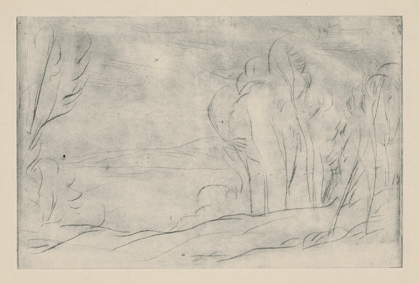 Eugen Nevan – Krajina 