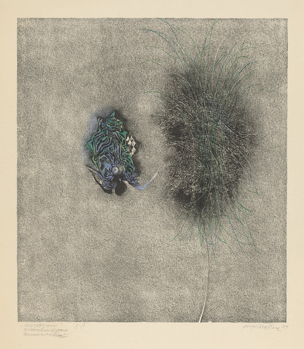 Viera Gergeľová – Nezvestovanie 