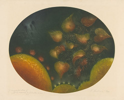 Terézia Kružlicová – Druhé znamenie zo zeleného vrchu 