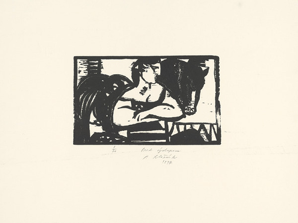 Vincent Hložník – Pred výstupom 