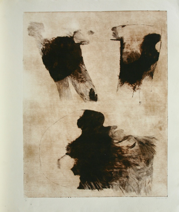 Milan Paštéka – Hlava 