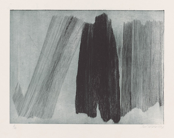 Milan Paštéka – Suchá ihla 