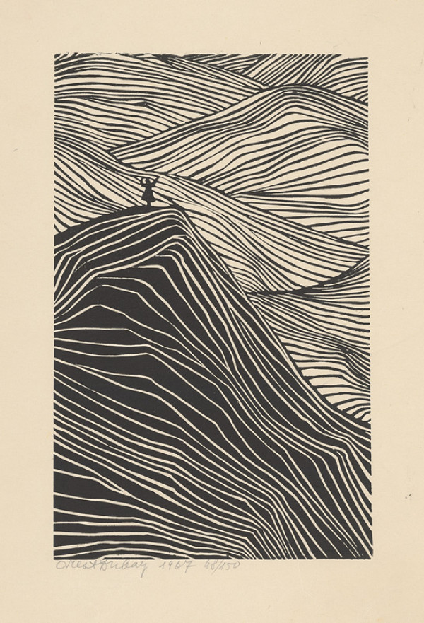 Orest Dubay – Na vrchole 