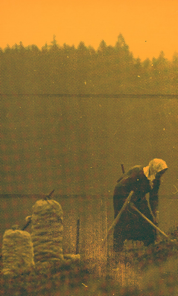 Pavol Breier, Zdeno Horecký – Kopanie zemiakov 