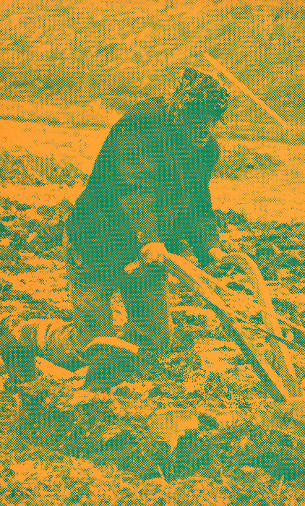 Pavol Breier, Zdeno Horecký – Oráč II. 