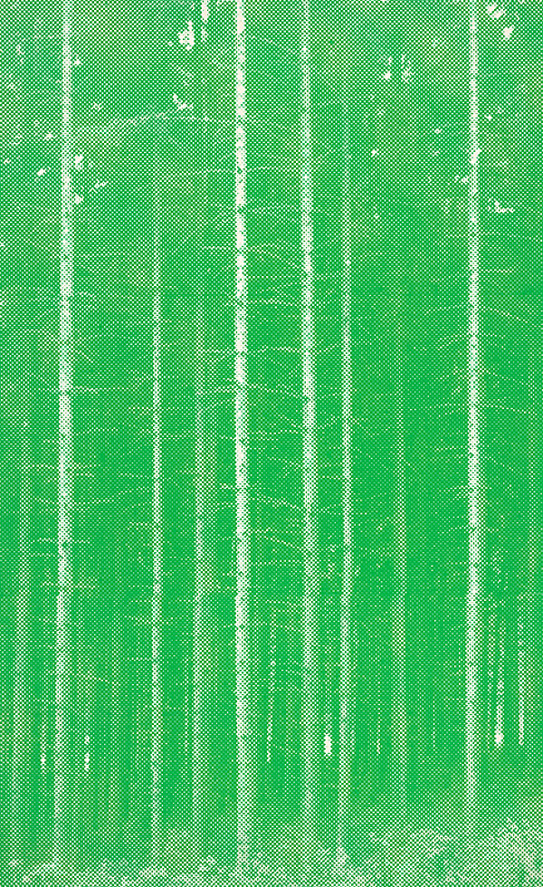 Pavol Breier, Zdeno Horecký – Lesy II. 