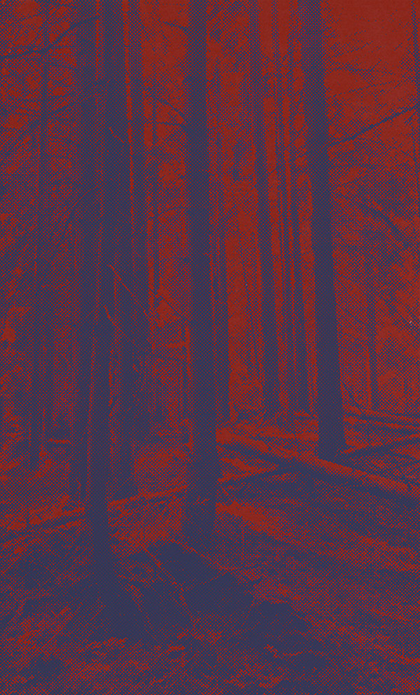 Pavol Breier, Zdeno Horecký – Les II. 