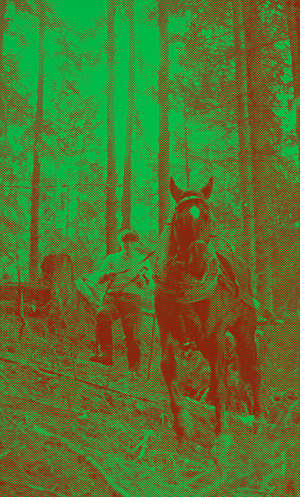 Pavol Breier, Zdeno Horecký – Zvážanie dreva I.