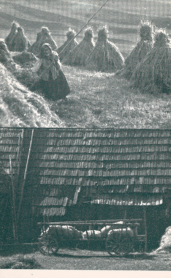 Pavol Breier, Zdeno Horecký – Sušenie sena II. 