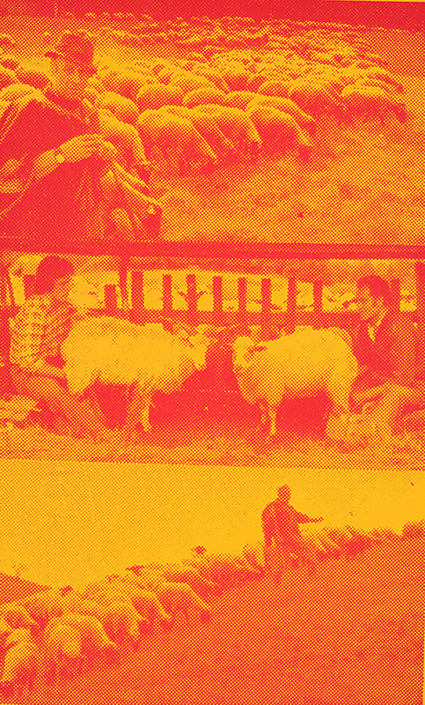 Pavol Breier, Zdeno Horecký – Na paši I. 