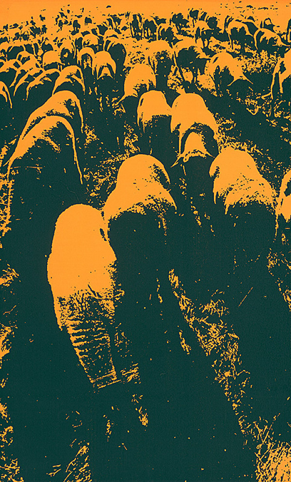 Pavol Breier, Zdeno Horecký – Na paši IV. 