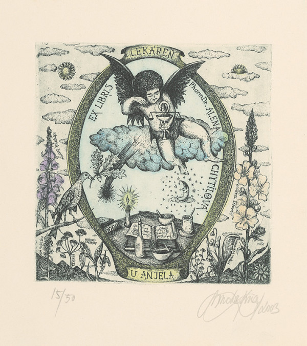 Miroslav Knap – Ex libris Lekáreň u anjela - PharmDr. Alena Chytilová 