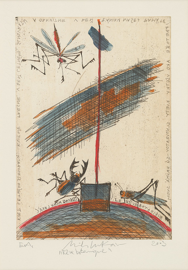 Milan Lukáč – Kvet letného slnovratu 