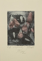 Jitka Bezúrová – PF 2002 / Lupienky 