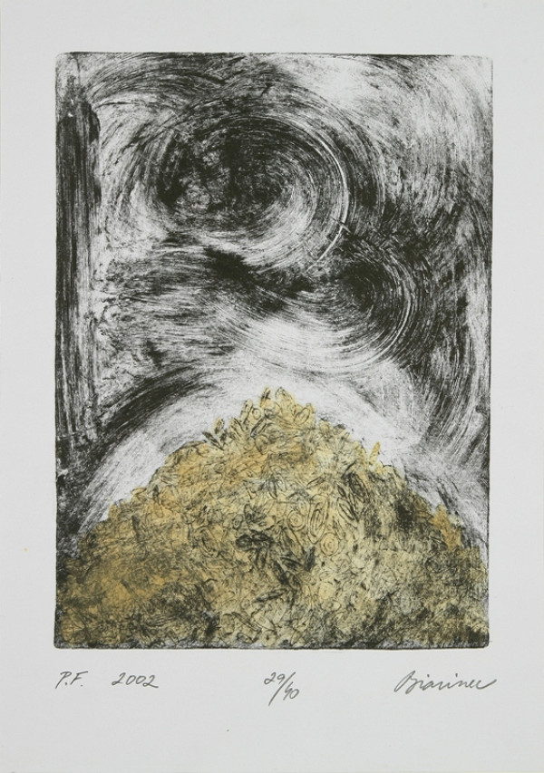 Rastislav Biarinec – PF 2002 