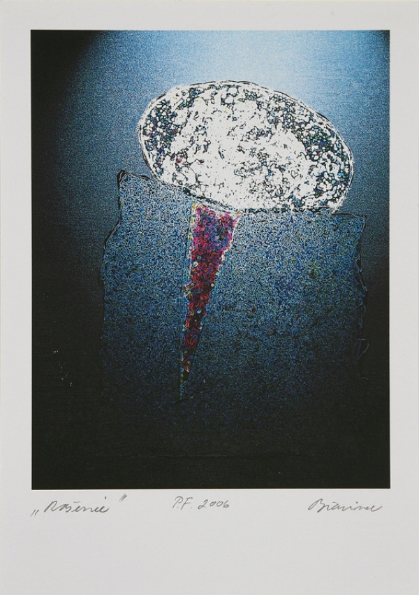 Rastislav Biarinec – PF 2006 / Rašenie 