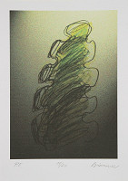 Rastislav Biarinec – PF 2007 