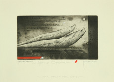 Zdenek Bugáň – PF 2013 / Správa z Orientu 