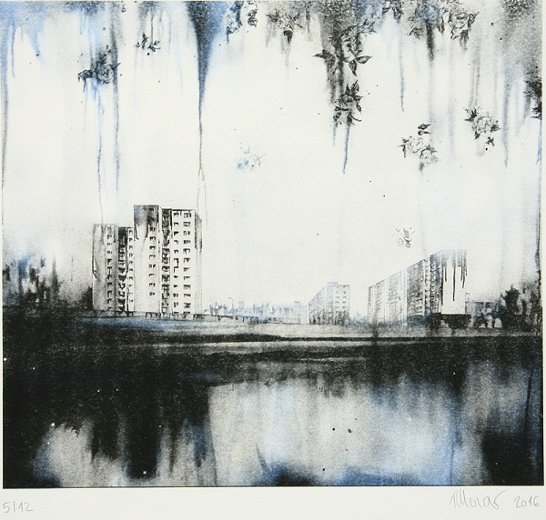 Lucia Tallová – Black Roses 