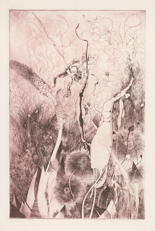 Alžbeta Štefunková-Szabová – Zrána 