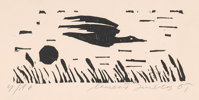 Ernest Zmeták – Letiaca hus 