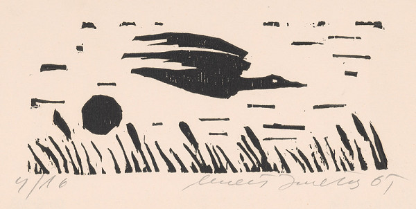 Ernest Zmeták – Letiaca hus