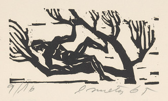 Ernest Zmeták – Muž na strome 