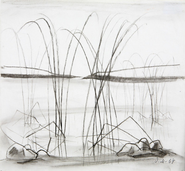 Dezider Milly – Rákosie 