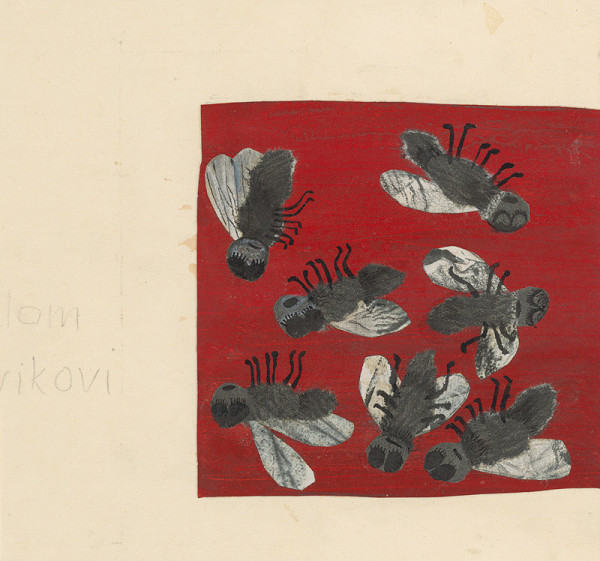 Běla Kolčáková – O smelom krajčírikovi 