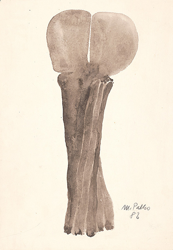 Mikuláš Palko – Dva motýle 