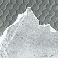 Jozef Mužila – Bez názvu 