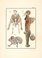 Jan Švankmajer – Švank-meyers Bilderlexikon, tabulka 25 