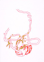 Svätopluk Mikyta – Správna odroda? I. 