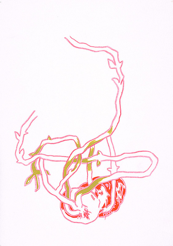 Svätopluk Mikyta – Správna odroda? I. 