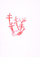 Svätopluk Mikyta – Správna odroda? III. 